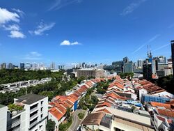 111 Emerald Hill (D9), Apartment #482506451